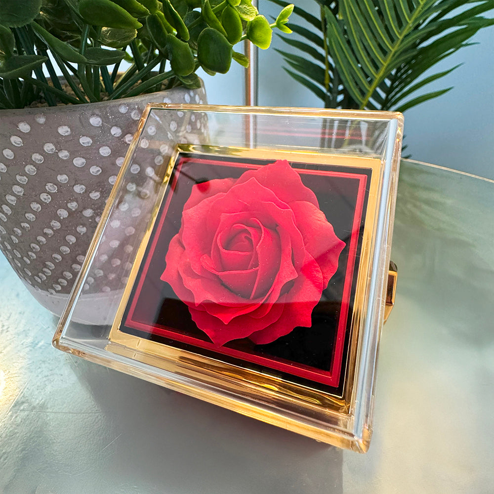 My Love — Forever Love Necklace with Rotating Rose Gift Box